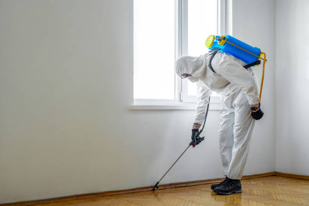 Best Affordable Pest Control Services  in Avon, OH