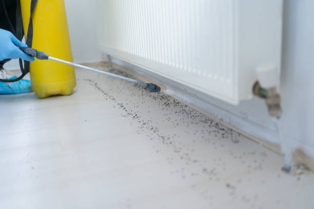 Best Pest Removal Services  in Avon, OH